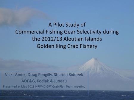 A Pilot Study of Commercial Fishing Gear Selectivity during the 2012/13 Aleutian Islands Golden King Crab Fishery Vicki Vanek, Doug Pengilly, Shareef Siddeek.
