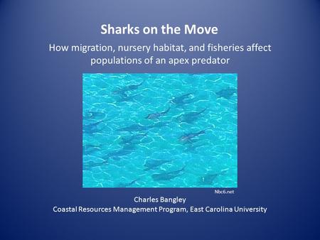 Sharks on the Move How migration, nursery habitat, and fisheries affect populations of an apex predator Charles Bangley Coastal Resources Management Program,