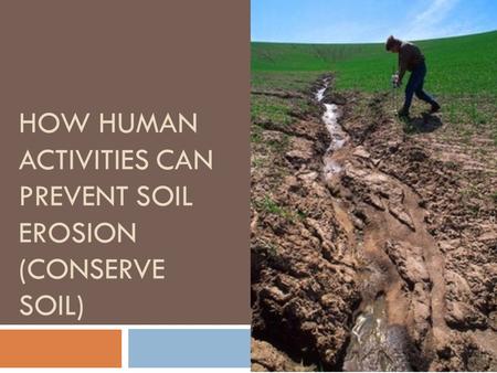 How Human Activities Can Prevent Soil Erosion (Conserve Soil)