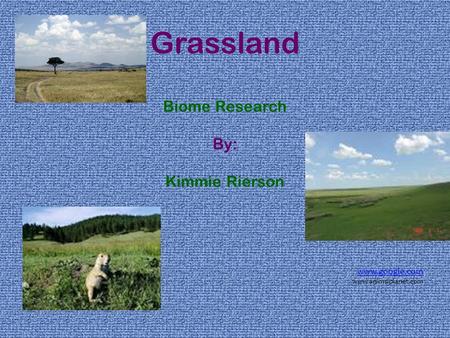 Grassland Biome Research By: Kimmie Rierson www.google.com www.animslplanet.com.