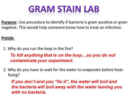 Purpose: Use procedure to identify if bacteria is gram positive or gram negative. This would help someone know how to treat an infection. Prelab: 1. Why.