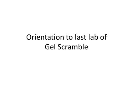 Orientation to last lab of Gel Scramble. Today’s tasks 1) Match protocols to gels. 2) Explain unexpected data.