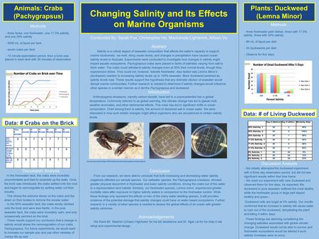 Ari Changing Salinity and Its Effects on Marine Organisms Animals: Crabs (Pachygrapsus) Plants: Duckweed (Lemna Minor) Data: # Crabs on the Brick Data: