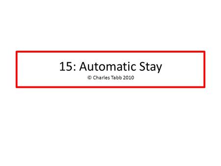 15: Automatic Stay © Charles Tabb 2010