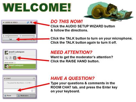 DO THIS NOW! Click the AUDIO SETUP WIZARD button & follow the directions. Click the TALK button to turn on your microphone. Click the TALK button again.