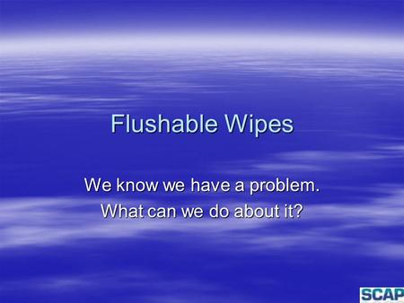 Flushable Wipes We know we have a problem. What can we do about it?
