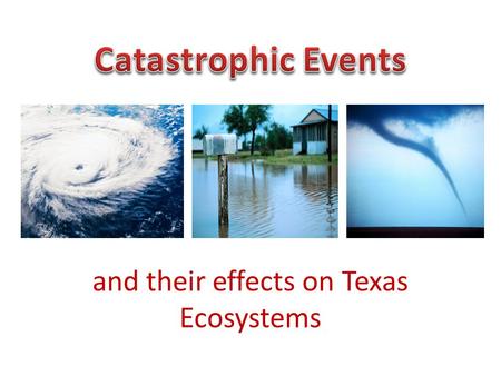 and their effects on Texas Ecosystems