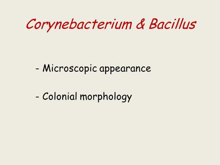 Corynebacterium & Bacillus - Microscopic appearance - Colonial morphology.