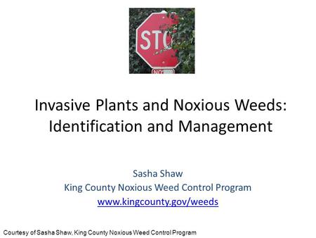 Invasive Plants and Noxious Weeds: Identification and Management Sasha Shaw King County Noxious Weed Control Program www.kingcounty.gov/weeds Courtesy.