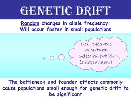 Genetic Drift Random changes in allele frequency.