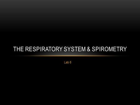 The Respiratory System & Spirometry