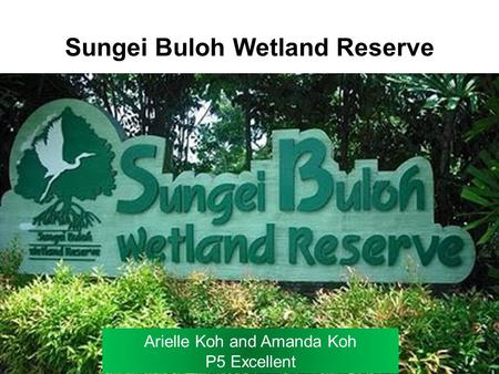 Sungei Buloh Wetland Reserve Arielle Koh and Amanda Koh P5 Excellent.