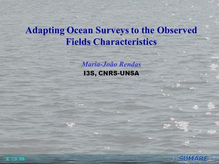 Adapting Ocean Surveys to the Observed Fields Characteristics Maria-João Rendas I3S, CNRS-UNSA.