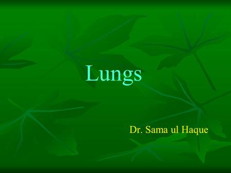 Lungs Dr. Sama ul Haque.