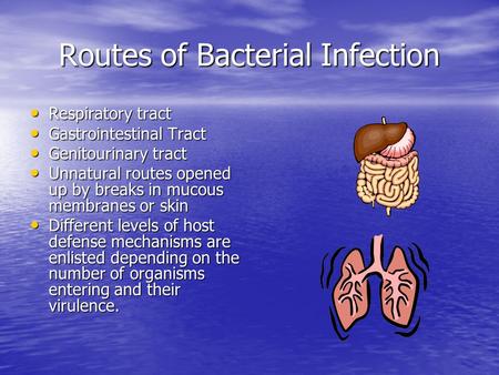 Routes of Bacterial Infection Respiratory tract Respiratory tract Gastrointestinal Tract Gastrointestinal Tract Genitourinary tract Genitourinary tract.