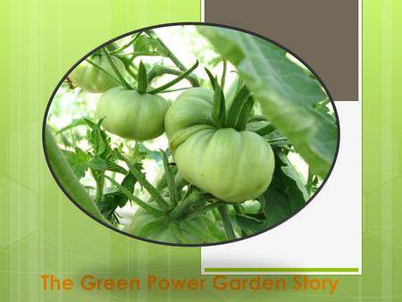 The Green Power Garden Story. The Mission  To compliment food programs in the Waukesha Area with fresh fruit and vegetables  Promoting healthy food.