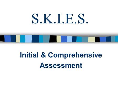 S.K.I.E.S. Initial & Comprehensive Assessment. Assessment is... n The gathering, reviewing, and analyzing information about a job seeker/participant.