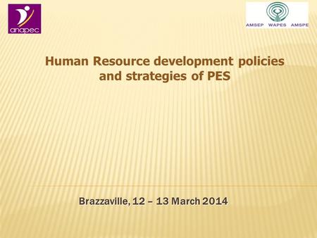 Brazzaville, 12 – 13 March 2014 Human Resource development policies and strategies of PES.