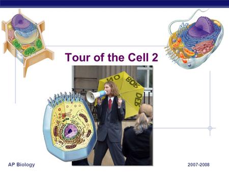 AP Biology 2007-2008 Tour of the Cell 2 AP Biology Cells gotta work to live!  What jobs do cells have to do?  make proteins  proteins control every.