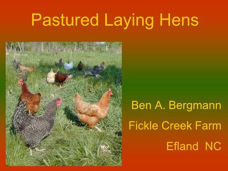 Pastured Laying Hens Ben A. Bergmann Fickle Creek Farm Efland NC.