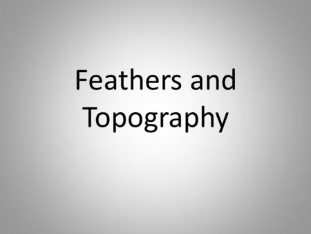 Feathers and Topography. Feathers Origin: – Originally thought to have evolved from scales – Now thought to be novel structures Composed of beta-keratins.