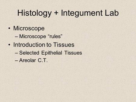 Histology + Integument Lab Microscope –Microscope “rules” Introduction to Tissues –Selected Epithelial Tissues –Areolar C.T.