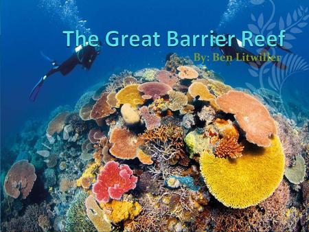By: Ben Litwiller. Intro.  s/parks-and-nature-places/oceans/oceans- barrier-reef/