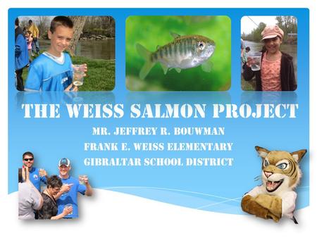 The Weiss Salmon Project Mr. Jeffrey R. Bouwman Frank E. Weiss Elementary Gibraltar School District.