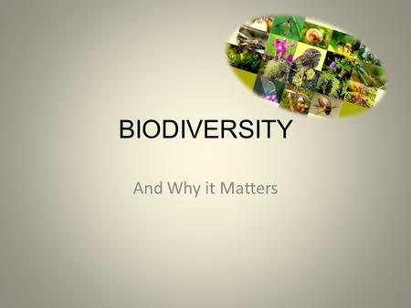 BIODIVERSITY And Why it Matters. Today’s AIM: Is living off of another always a bad thing? DO NOW: Read The Ice Age’s Fiercest Predator and construct.