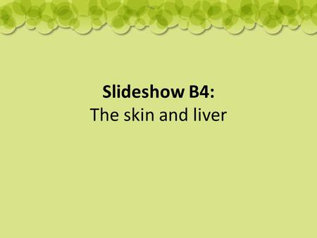 Slideshow B4: The skin and liver. The kidneys and the lungs Discussion questions: What is excretion? What do the kidneys do? What is the main waste in.