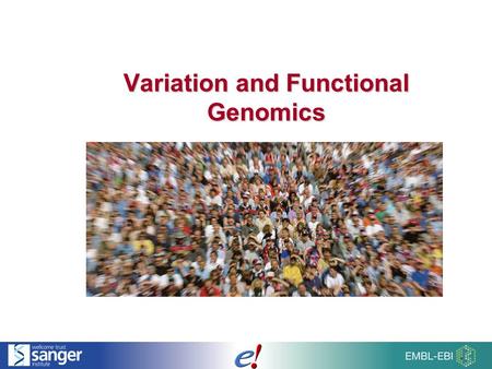 Variation and Functional Genomics. 2 of 51 Overview of Talk SNPs and InDels Larger structural variants (CNVs) Phenotype data Individual genomes HapMap.