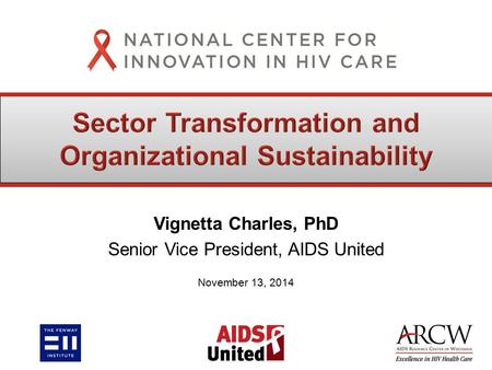 Vignetta Charles, PhD Senior Vice President, AIDS United November 13, 2014.