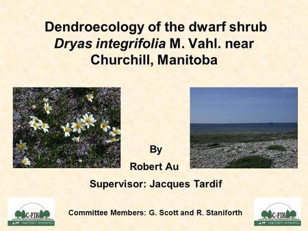 Dendroecology of the dwarf shrub Dryas integrifolia M. Vahl. near Churchill, Manitoba By Robert Au Supervisor: Jacques Tardif Committee Members: G. Scott.