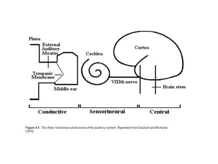 Figure 4-1. The three functional subdivisions of the auditory system. Reprinted from Deutsch and Richards (1979).