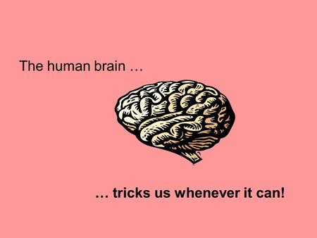 The human brain … … tricks us whenever it can!. Sensation and Perception Sensation: what occurs when a stimulus activates a receptor Perception: the organization.