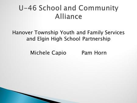 Hanover Township Youth and Family Services and Elgin High School Partnership Michele Capio Pam Horn.