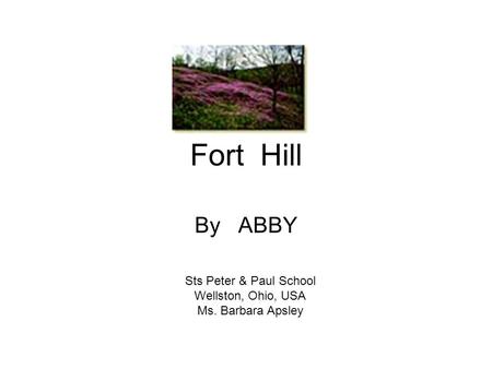 Fort Hill By ABBY Sts Peter & Paul School Wellston, Ohio, USA Ms. Barbara Apsley.