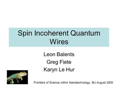 Spin Incoherent Quantum Wires Leon Balents Greg Fiete Karyn Le Hur Frontiers of Science within Nanotechnology, BU August 2005.