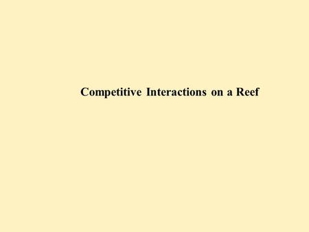 Competitive Interactions on a Reef. Kinds of Competition between Corals Connell (‘73) Contact and interaction between soft tissues of coral No contact.