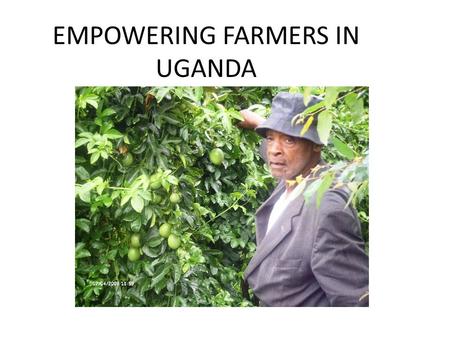 EMPOWERING FARMERS IN UGANDA. UNDERSTANDING THE CHAIN.
