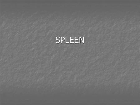 SPLEEN. I. Anatomy - weight – approximately 100-150 grams - located in the left upper and protected by the lower portion of the rib cage - its position.