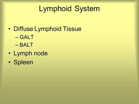 Lymphoid System Diffuse Lymphoid Tissue –GALT –BALT Lymph node Spleen.