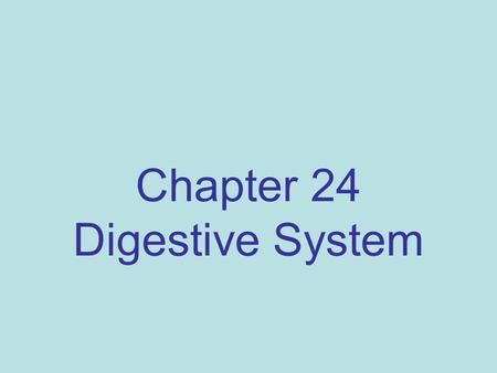 Chapter 24 Digestive System. Digestive Processes Ingestion Movement / peristalsis Digestion (chemical & mechanical) Absorption Defecation.