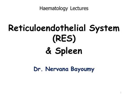 Reticuloendothelial System (RES) & Spleen Dr. Nervana Bayoumy