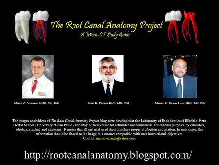 Marco A. Versiani, DDS, MS, PhDJesus D. Pécora, DDS, MS, PhDManoel D. Sousa-Neto, DDS, MS, PhD The images and videos.