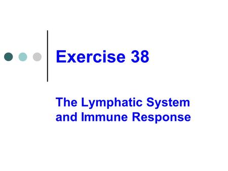 The Lymphatic System and Immune Response