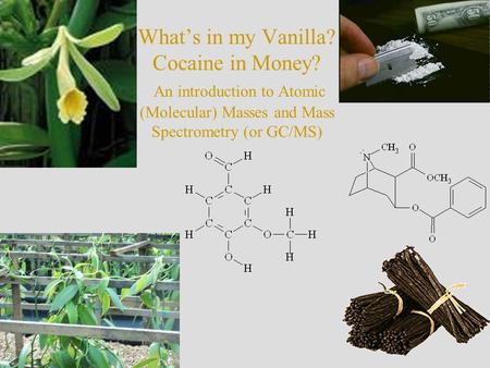 What’s in my Vanilla? Cocaine in Money? An introduction to Atomic (Molecular) Masses and Mass Spectrometry (or GC/MS)