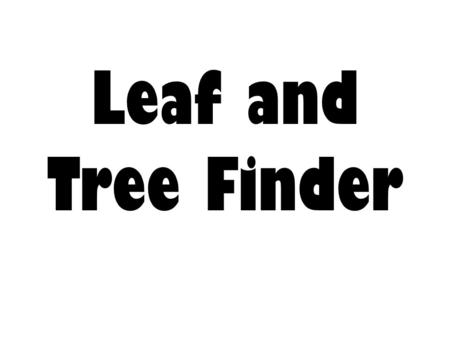Leaf and Tree Finder. Red Hickory (Carya ovalis)