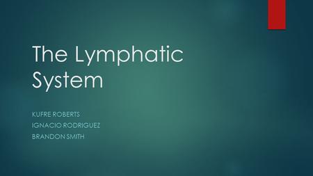 The Lymphatic System KUFRE ROBERTS IGNACIO RODRIGUEZ BRANDON SMITH.