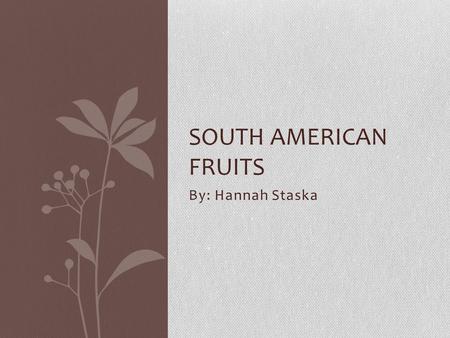 By: Hannah Staska SOUTH AMERICAN FRUITS. Pitaya/Dragon Fruit  Can be found in the Americas: Mexico, South American tropics, Central America, and especially.